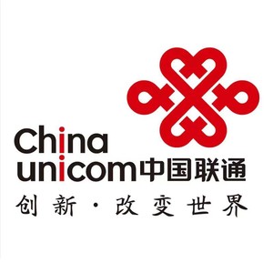 China unicom 中国联通 联通 100元 (24小时内到账B