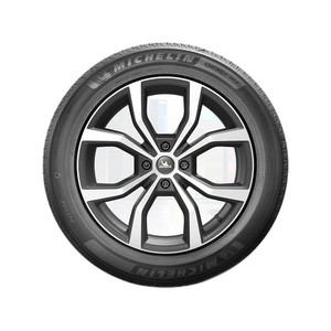 MICHELIN 米其林 汽车轮胎 225/65R17 102H 耐越 ENERGY MILE MI