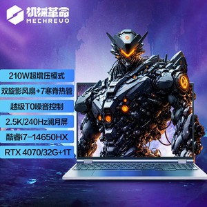 MECHREVO 机械革命 耀世16Pro游戏笔记本电脑（i7-14650HX 32G 1T RTX4070 240HZ 2.5K灰）