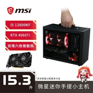 百亿补贴：MSI 微星 i5 12600KF/RTX 4060TI黑色迷你组装台式电脑电竞手提DIY主机