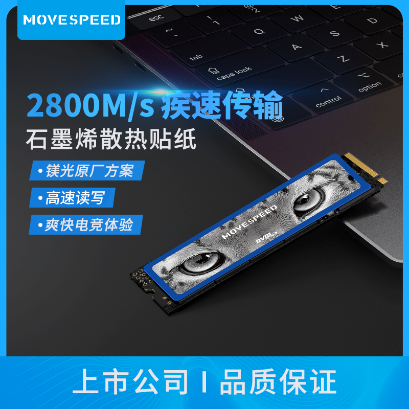 MOVE SPEED 移速 SSD固态硬盘pcle3.0 长江晶圆 联芸主控2TB YSSDM美洲豹系列 98元