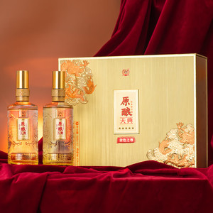 泸州老窖白酒礼盒 原酿天典500ml*2瓶