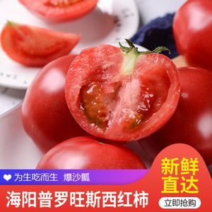 佑嘉木 山东普罗旺斯西红柿 净重4.5斤