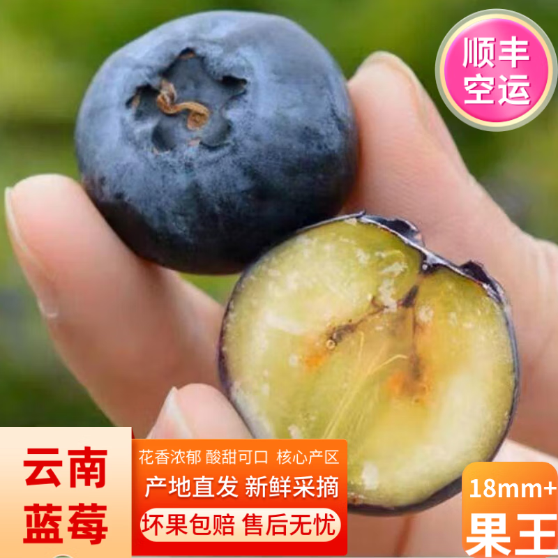【顺丰/京东】蓝莓新鲜云南水果当季整箱花香 蓝莓15mm+ 4盒（约500g） 29.9元