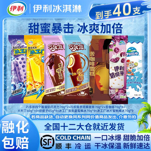 【JD专卖】伊利 雪糕冰淇淋 40支混搭大礼包（共2690g）