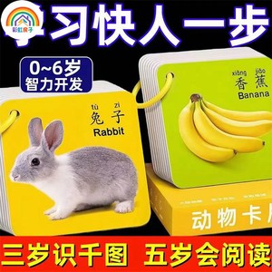儿童早教认知卡识字卡双面益智玩具识字卡宝宝启蒙动物卡片