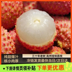 广东高州带枝采摘高甜度老树桂味地头顺丰直发荔枝现摘现发整箱