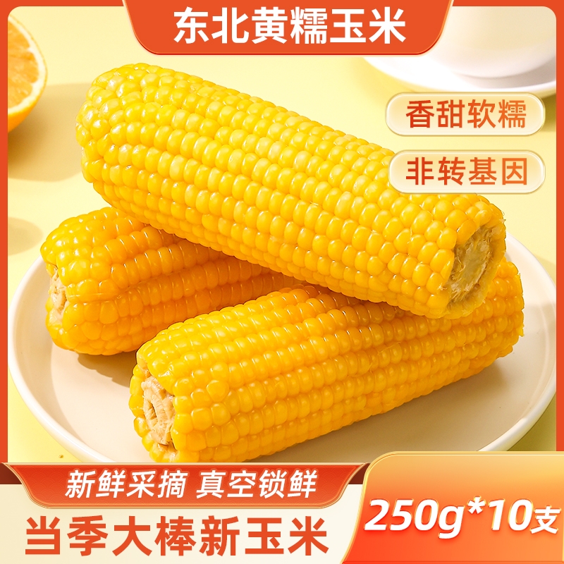 东北黄甜糯玉米棒早餐代餐低脂饱腹粗粮主食新鲜采摘粘苞米真空装