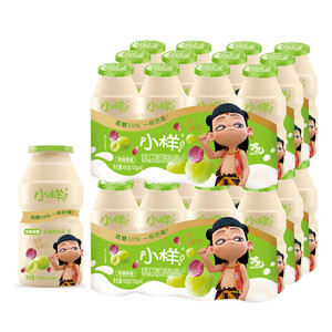 小样减糖乳酸菌饮品100g*24瓶含乳饮料玫瑰青提酸牛奶益生菌早餐