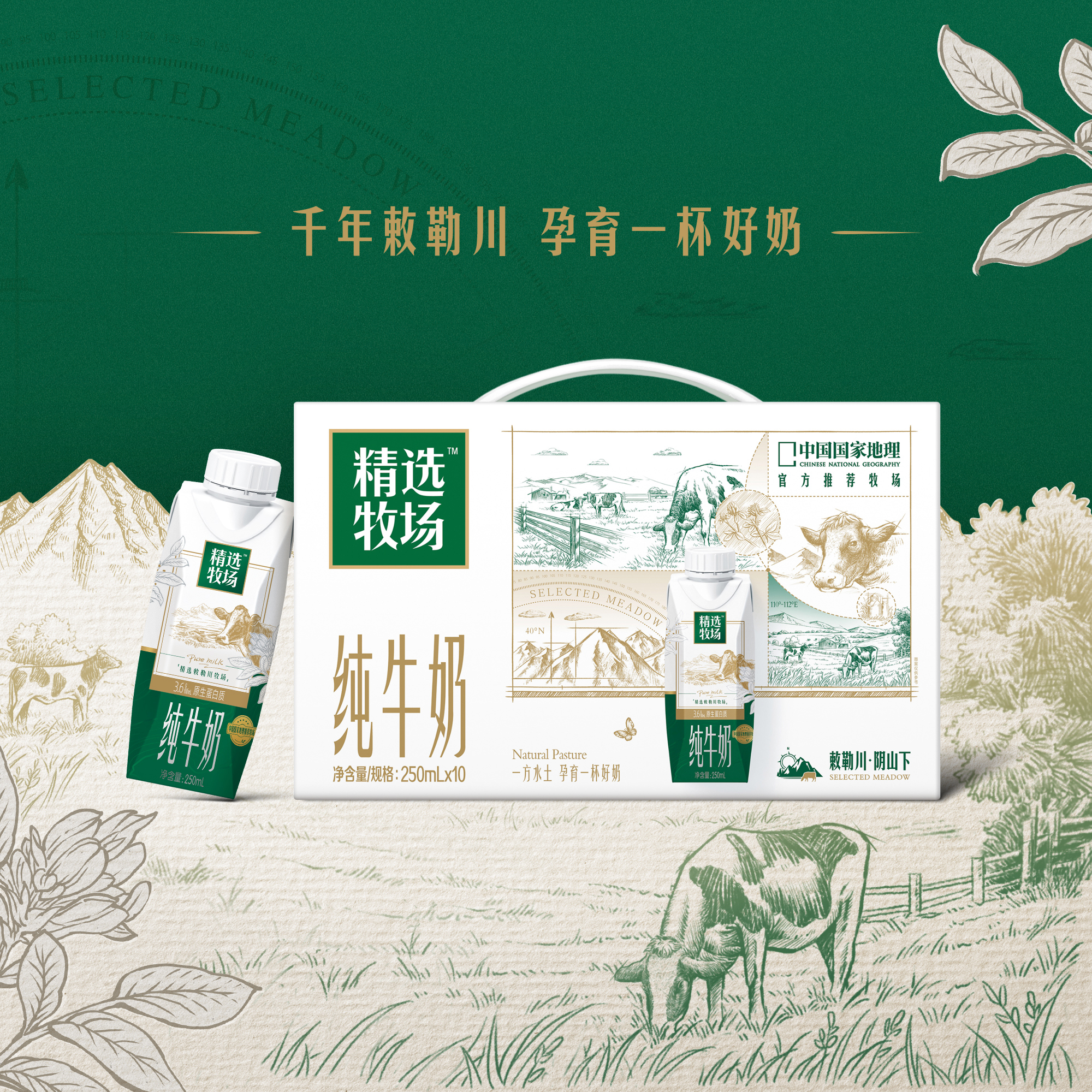 中国国家地理推荐 精选牧场敕勒川定制装纯牛奶梦幻盖250ml*10包 29.9元
