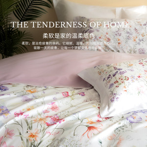 SCHIESSER LIVING/舒雅生活100全棉四件套长绒棉纯棉轻奢高级感床