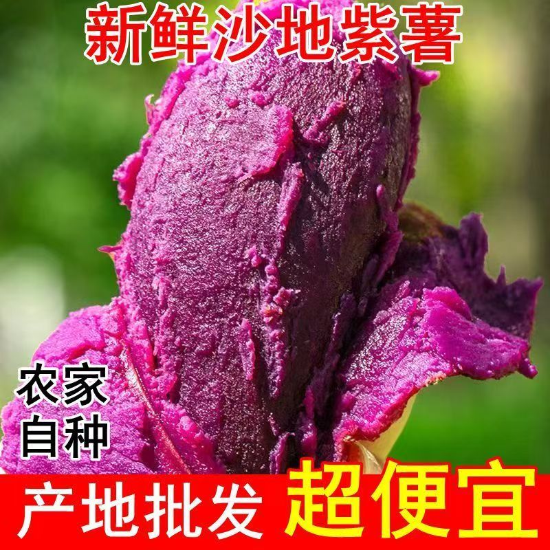 FN紫薯新鲜现挖农家自种沙地紫罗兰紫心薯红薯蜜薯山芋地瓜番薯