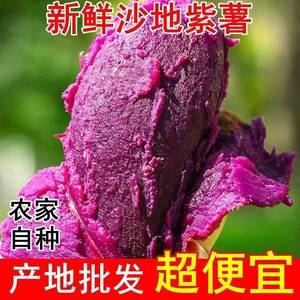 FN紫薯新鲜现挖农家自种沙地紫罗兰紫心薯红薯蜜薯山芋地瓜番薯