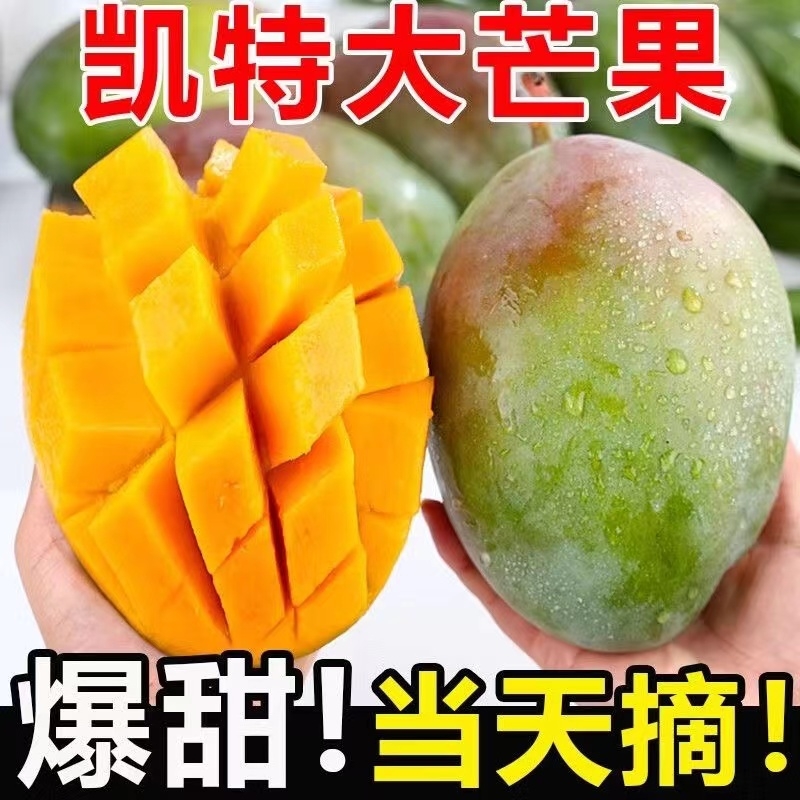 四川攀枝花青皮凯特芒果新鲜水果新鲜当季特大凯特芒鲜果