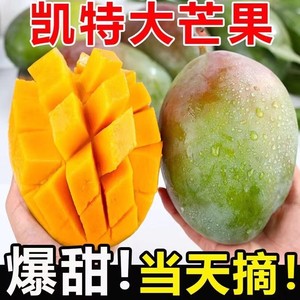 四川攀枝花青皮凯特芒果新鲜水果新鲜当季特大凯特芒鲜果