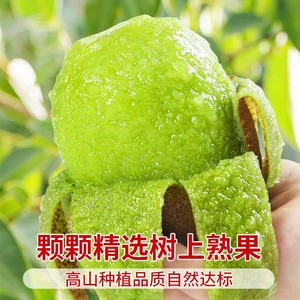 正宗绿心猕猴桃旗舰店现摘当季水果新鲜绿心奇异果大果4.5斤批发