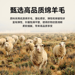 红豆春秋羊毛衫新款男士休闲长袖T恤圆领卫衣宽松百搭打底衫男装