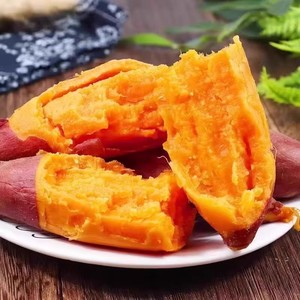 红薯正宗龙九蜜薯糖心新鲜番薯板栗六鳌沙地地瓜山芋农家自种黄心