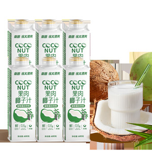 南国食品海南特产果肉椰子汁600ml*6瓶鲜榨饮料结婚宴请聚会果汁