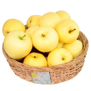 正宗烟台苹果水果黄元帅粉面黄金帅黄香蕉新鲜黄苹果山东特产整箱