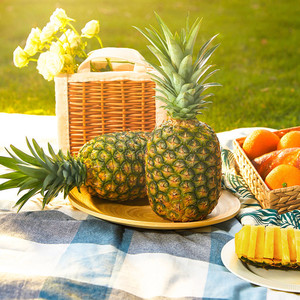 dole都乐海南金钻凤梨装新鲜水果爽嫩多汁 香甜菠萝