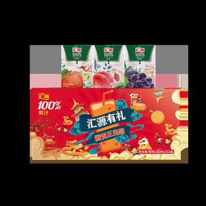 汇源100%苹果汁礼盒200ml*12盒纯果汁饮料品整箱送礼礼盒焕新回归