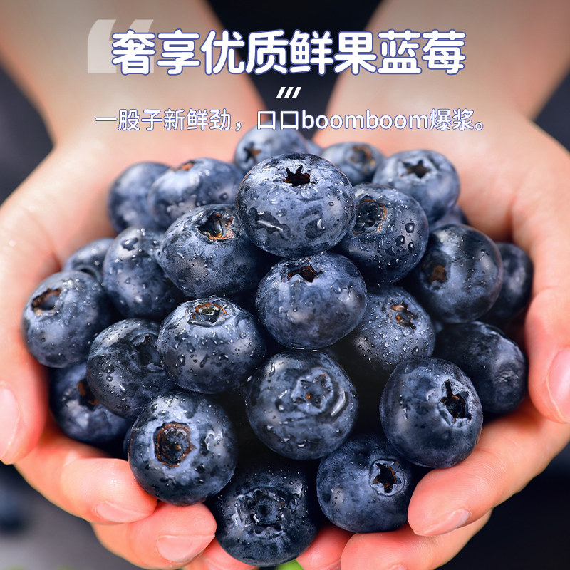 云南高山L25花香蓝莓鲜果当季新鲜水果现摘怡颗大果整箱包邮纯甜 26.79元