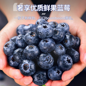 云南高山L25花香蓝莓鲜果当季新鲜水果现摘怡颗大果整箱包邮纯甜