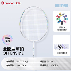 薰风新手羽毛球拍耐打入门训练羽球拍学生熏风羽拍家庭娱乐羽球拍