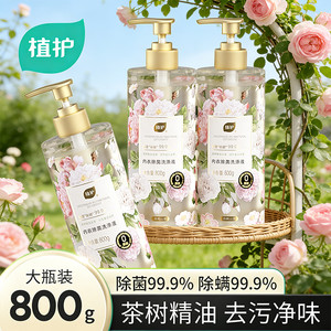 植护月殿山茶大瓶内衣洗衣液内裤男女士家用正品持久留香去血渍