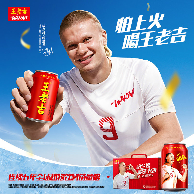 【哈兰德联名】世界杯王老吉凉茶植物饮料310ml*12罐整箱礼盒 29.9元