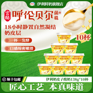 【临期特惠】伊利宫酪奶皮子酸奶138g*10杯呼伦贝尔草原菌株