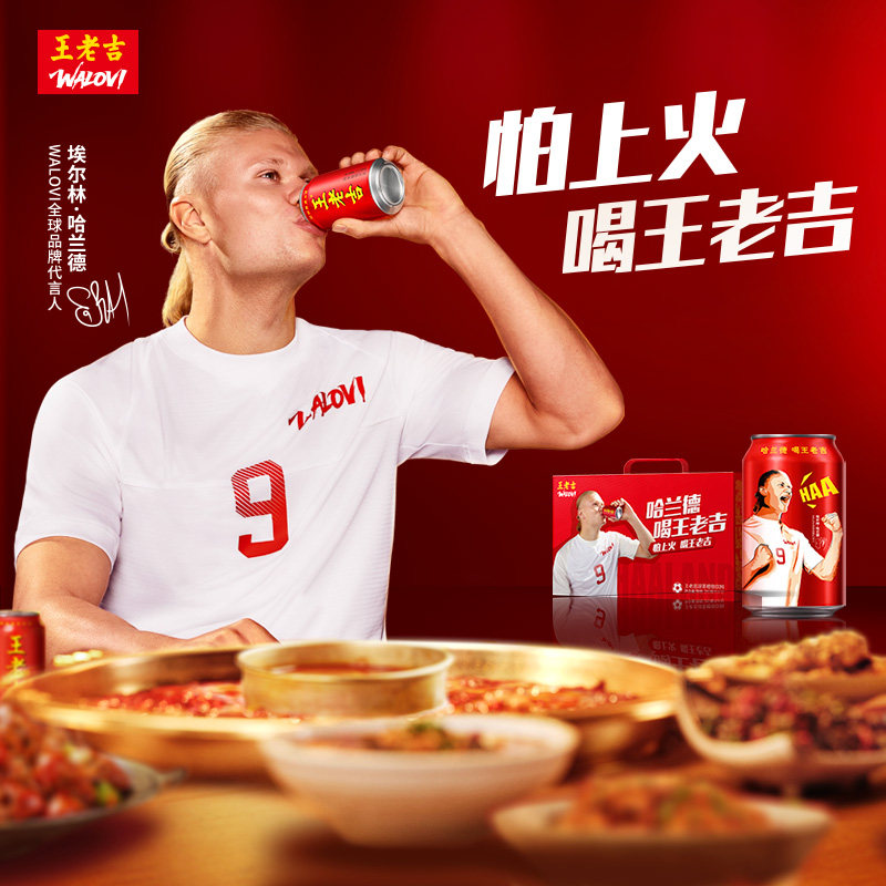 【哈兰德联名】王老吉凉茶植物饮料310ml*12罐整箱礼盒 29.9元