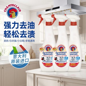 大公鸡管家油污净重油污强力去油污清洁剂厨房油污