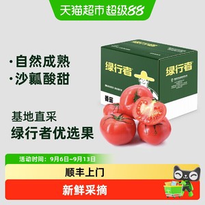 顺丰上门绿行者沙瓤粉番茄新鲜采摘可生吃酸甜多汁沙瓤自然熟