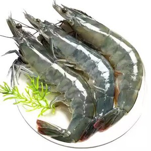 大虾鲜活速冻基围虾超大冷冻新鲜海虾青岛盐冻无冰海鲜水产特大号